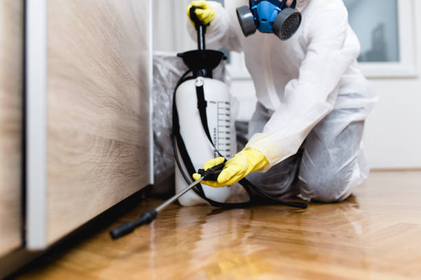 Best Termite Control Services  in Paisley, FL
