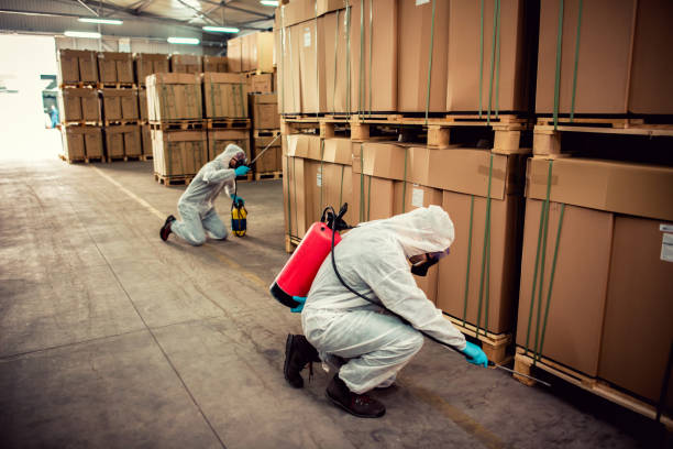 Best Bed Bug Extermination  in Paisley, FL