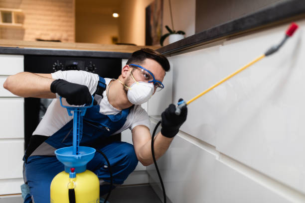 Best Exterminator Services  in Paisley, FL