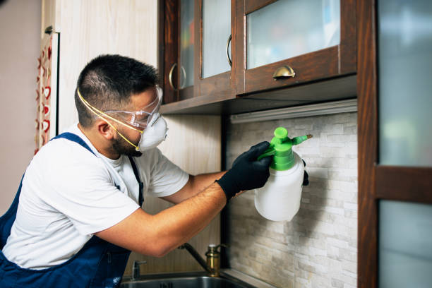 Best Cockroach Control Services  in Paisley, FL
