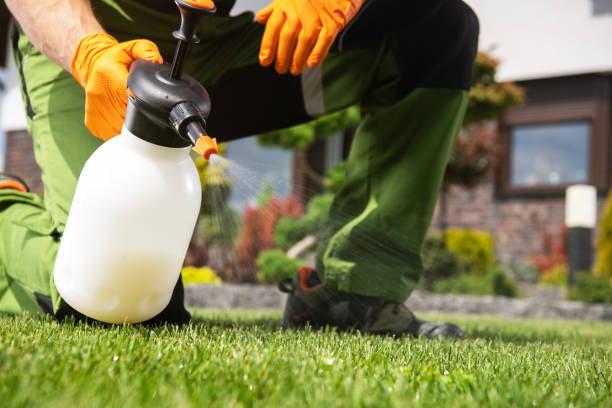 Best Best Pest Control Near Me  in Paisley, FL