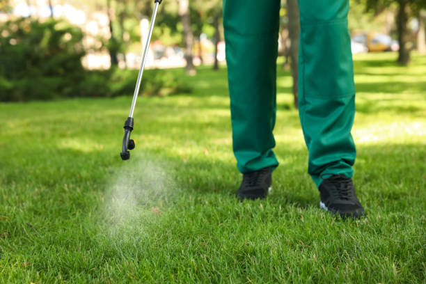 Best Commercial Pest Control Services  in Paisley, FL