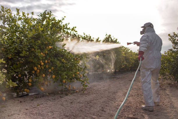 Best Pest Control Near Me  in Paisley, FL