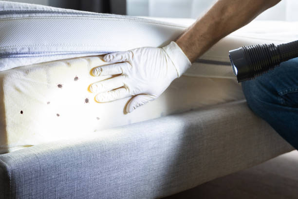 Best Wildlife Control Services  in Paisley, FL