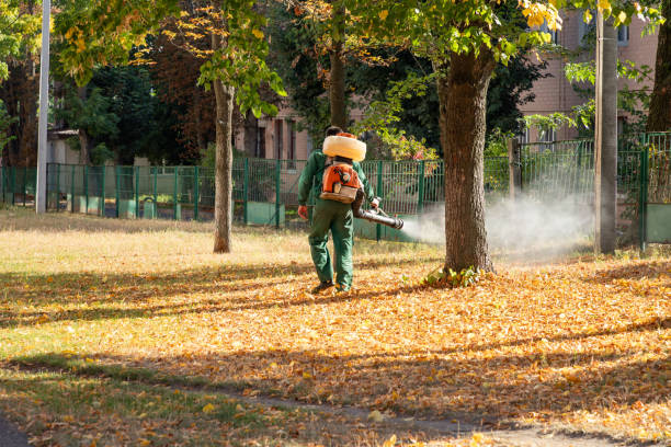 Professional Pest Control in Paisley, FL
